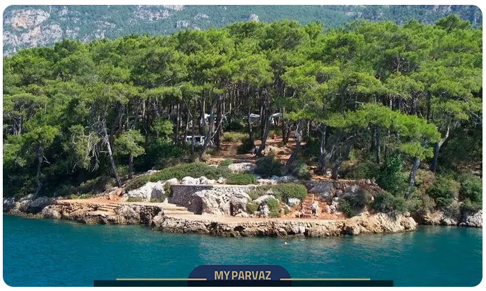 marmaris jungel
